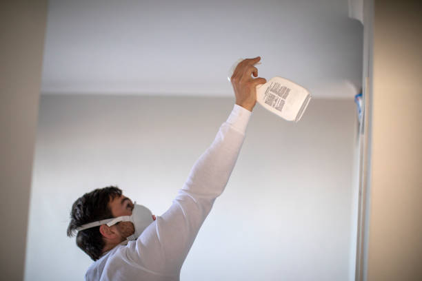 Mold Testing and Removal in Montclair, VA