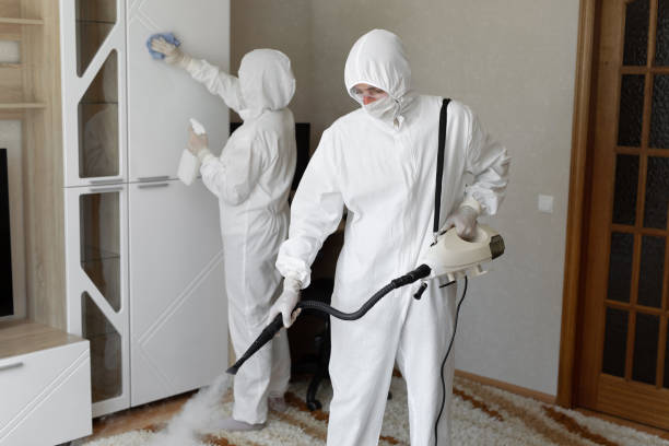 Best Professional Mold Removal  in Montclair, VA